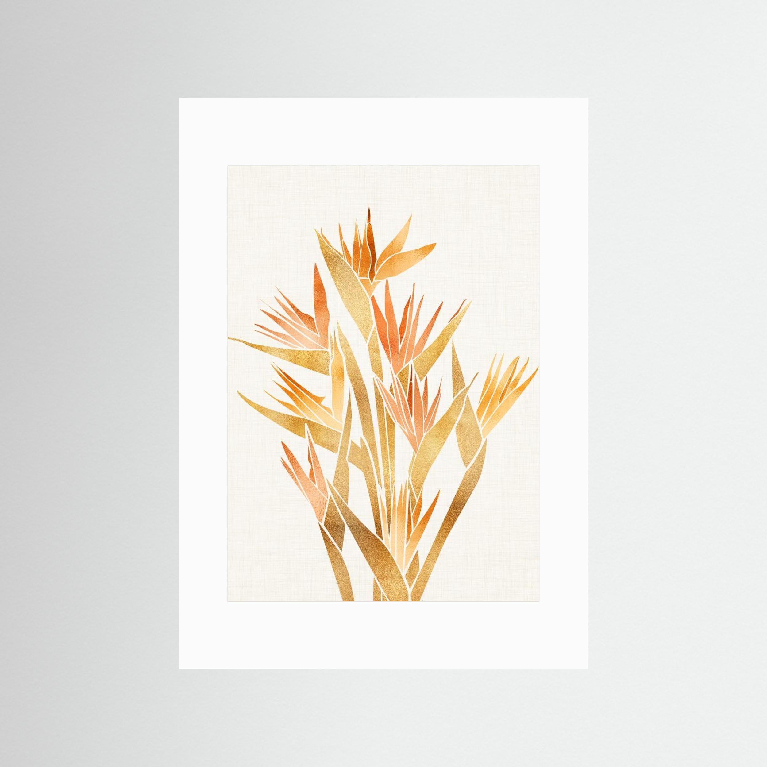 Bird of Paradise by Kristian Gallagher